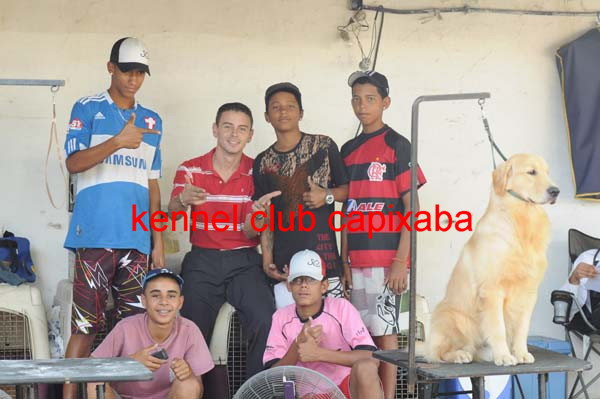 Clique sobre a foto para fechar